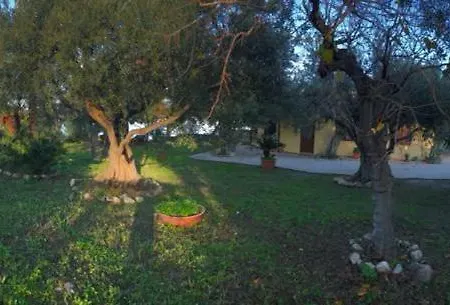 Bouganville In Greco *