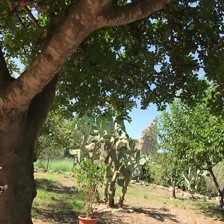 Apartmán Bouganville In Greco *