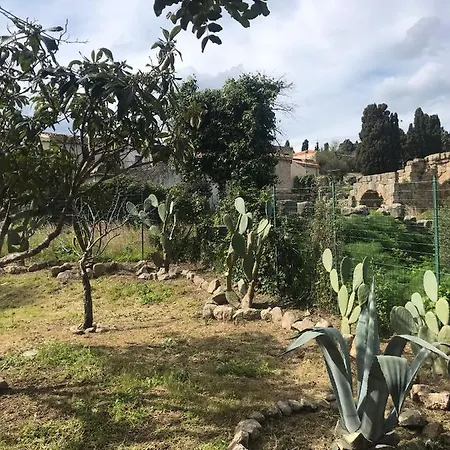 Bouganville In Greco *