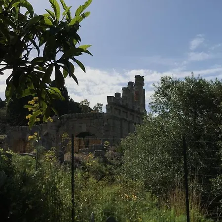 Bouganville In Greco Tindari