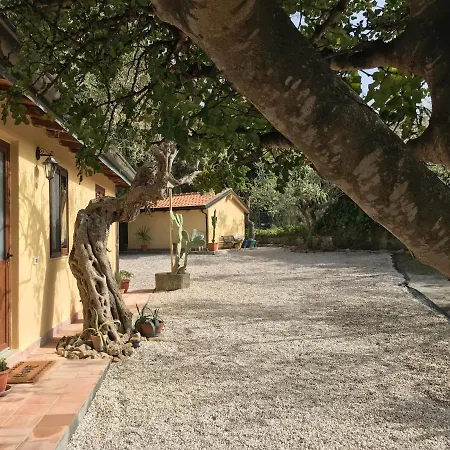 Bouganville In Greco Tindari