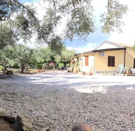 Bouganville In Greco * Tindari