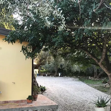 Bouganville In Greco Tindari