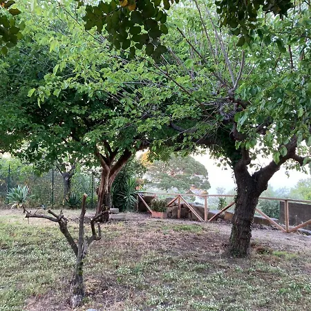 Apartment Bouganville In Greco Tindari