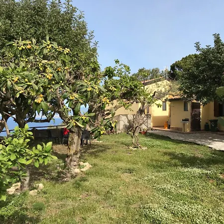 Bouganville In Greco