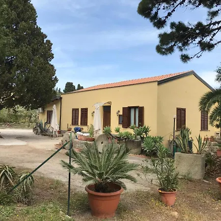 Bouganville In Greco * Tindari