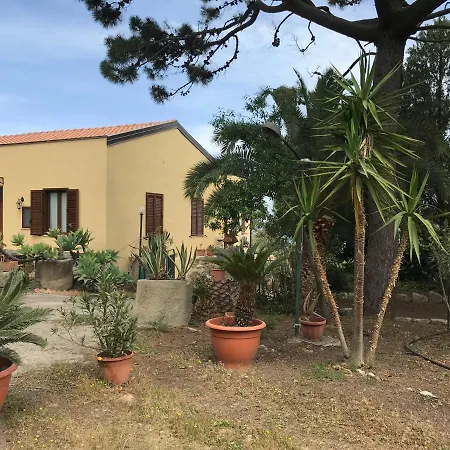 Bouganville In Greco * Tindari