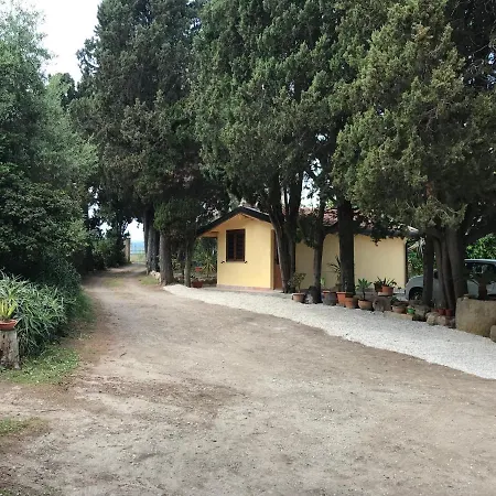 Bouganville In Greco