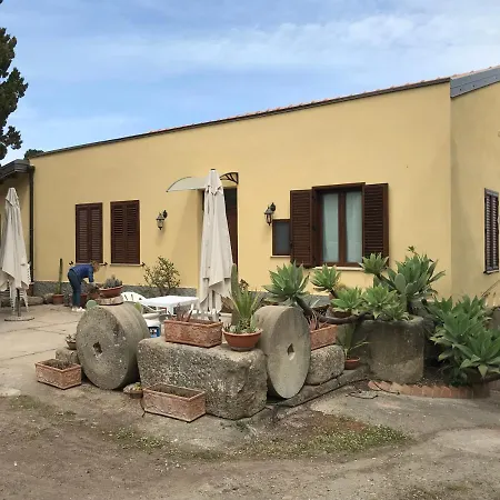 Bouganville In Greco Tindari