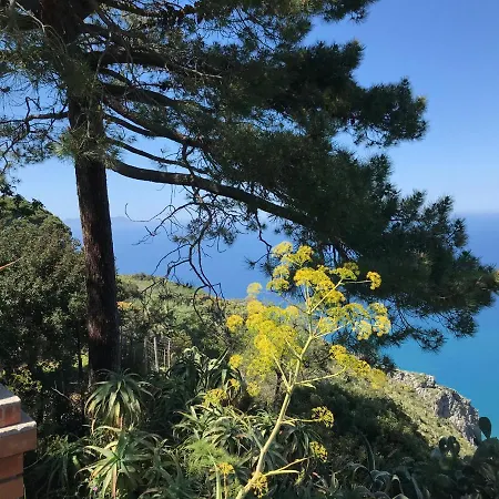 Apartment Bouganville In Greco Tindari