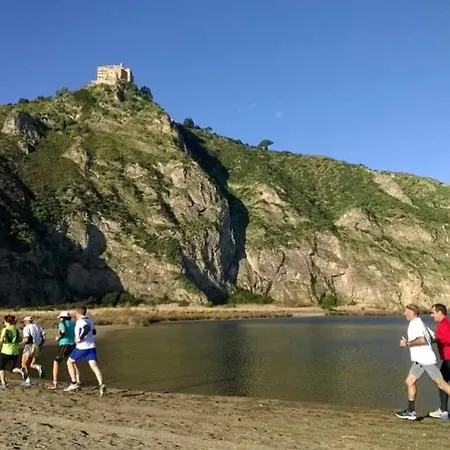 Bouganville In Greco