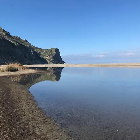 Bouganville In Greco