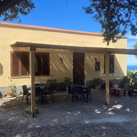 Bouganville In Greco *