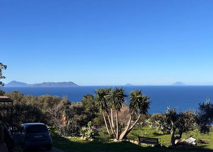 Bouganville A Greco