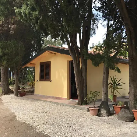 Bouganville In Greco