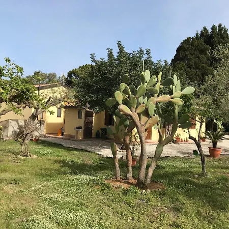 Bouganville In Greco Apartman